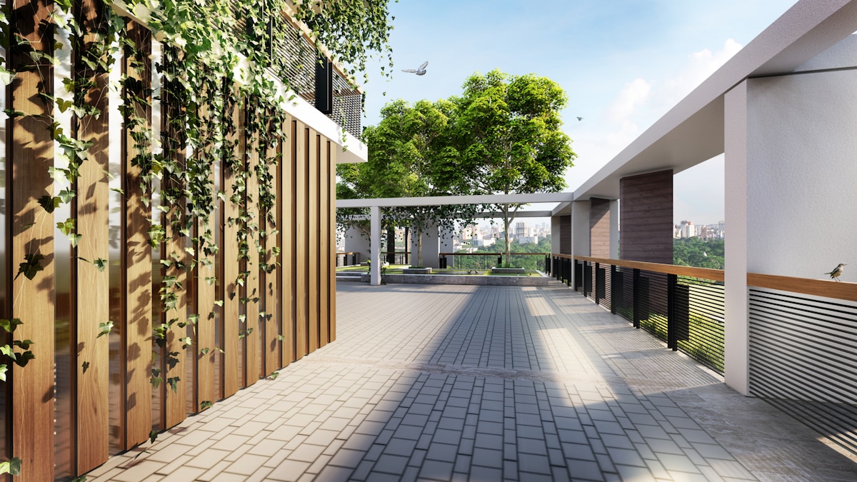Schoon terras met groene klimplanten